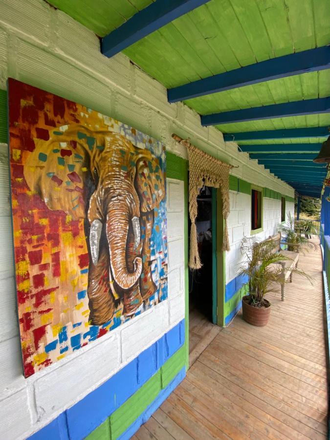 Ayahuasca Casa Artistica Hotel Jardin Exterior photo